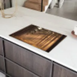 Bos - Mist - Zonlicht Inductie beschermer vinyl 3mm klein -sfeer8