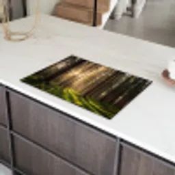 Bos - Gras - Zonlicht Inductie beschermer vinyl 3mm klein -sfeer8