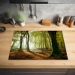 Bos - Zon - Seizoenen - Landschap Inductie beschermer vinyl 3mm middel -sfeer5