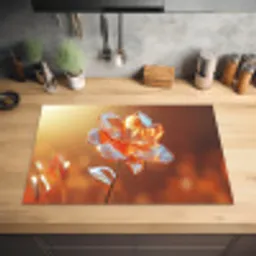 Glazen - Bloem - Zonlicht Inductie beschermer vinyl 3mm klein -sfeer5