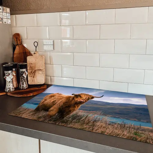 Hooglander aan de Kust Inductie beschermer vinyl 3mm klein -sfeer3