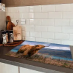Hooglander aan de Kust Inductie beschermer vinyl 3mm klein -sfeer3