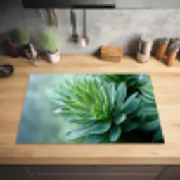 Blad - Plant - Groen - Textuur Inductie beschermer vinyl 3mm klein -sfeer5