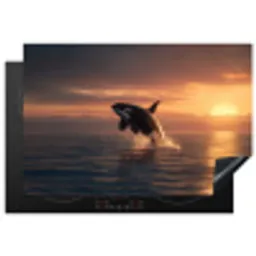 Orka - Zee - Zonsondergang Inductie beschermer vinyl 3mm klein -3d