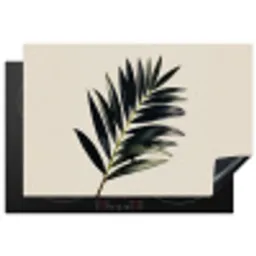 Palmblad - Subtiel - Groen - beige Inductie beschermer vinyl 3mm klein -3d