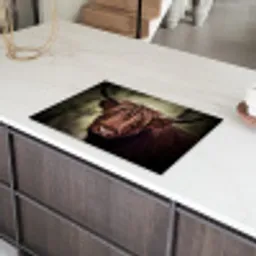 Verstilde Waardigheid Inductie beschermer vinyl 3mm klein -sfeer8