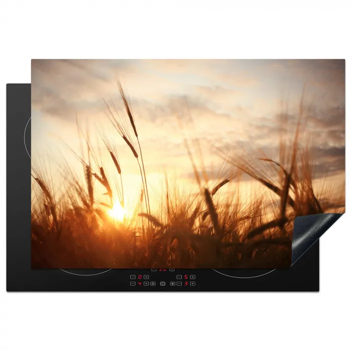 Riet - Gras - Zonsondergang - Natuur - Horizon Inductie beschermer vinyl 3mm klein -3d