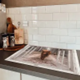 Doorkijk - Schotse Hooglander - Raam Inductie beschermer vinyl 3mm klein -sfeer3