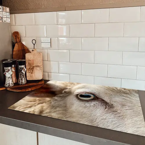 Schaap - Oog - Wit Inductie beschermer vinyl 3mm klein -sfeer3