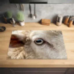 Schaap - Oog - Wit Inductie beschermer vinyl 3mm klein -sfeer5