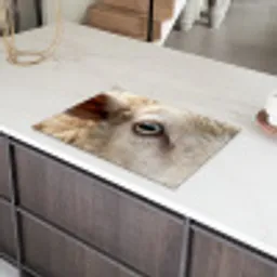 Schaap - Oog - Wit Inductie beschermer vinyl 3mm klein -sfeer8