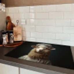 Schaap - Wol - Kok Inductie beschermer vinyl 3mm klein -sfeer3