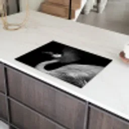 Toeschouwer met Veren Kroon Inductie beschermer vinyl 3mm klein -sfeer8