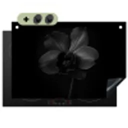 Zwart - Bloem - Orchidee Inductie beschemer met haakjes klein -3d