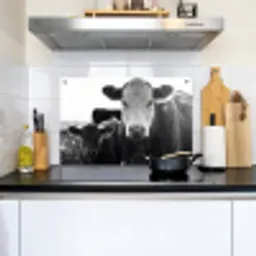 Koeien - Zwart - Wit Inductie beschemer met haakjes klein -sfeer2