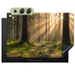 Bos - Zonlicht - Gras Inductie beschemer met haakjes klein -3d