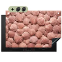 Schelpen - Patroon - Roze Inductie beschemer met haakjes klein -3d