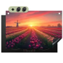 Windmolen - Zonsondergang - Landschap Inductie beschemer met haakjes klein -3d