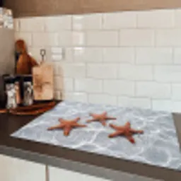Zeesterren - Water - Helder Inductie beschermer vinyl 3mm klein -sfeer3