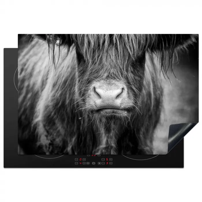 Stoïcijnse Blik Inductie beschermer vinyl 3mm klein -3d