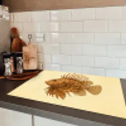 Strepen - Vis - Rond - Stekels Inductie beschermer vinyl 3mm klein -sfeer3