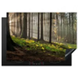 Zon - Takken - Bomen - Bos - Natuur Inductie beschermer vinyl 3mm middel -3d