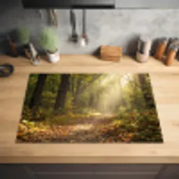 Zonlicht - Bospad - Bomen Inductie beschermer vinyl 3mm klein -sfeer5