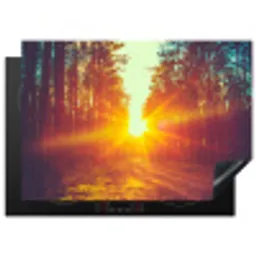 Zonsondergang - Bomen - Bos - Natuur Inductie beschermer vinyl 3mm middel -3d