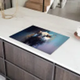 Stier - Zwart - Abstract - Horens Inductie beschermer vinyl 3mm klein -sfeer8