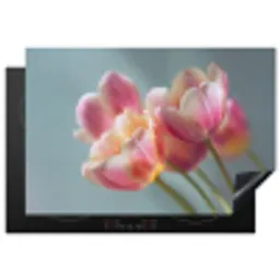 Tulpen - Roze - Stelen Inductie beschermer vinyl 3mm klein -3d