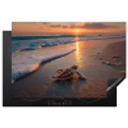 Schildpad - strand - Zonsondergang Inductie beschermer vinyl 3mm klein -3d