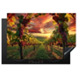 Wijngaard - Druiven - Zonsondergang Inductie beschermer vinyl 3mm klein -3d