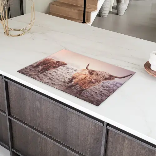 Winterse Glorie Inductie beschermer vinyl 3mm klein -sfeer8