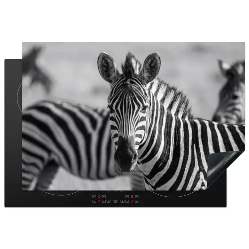 Zebra's - Zwart - Wit Inductie beschermer vinyl 3mm klein -3d