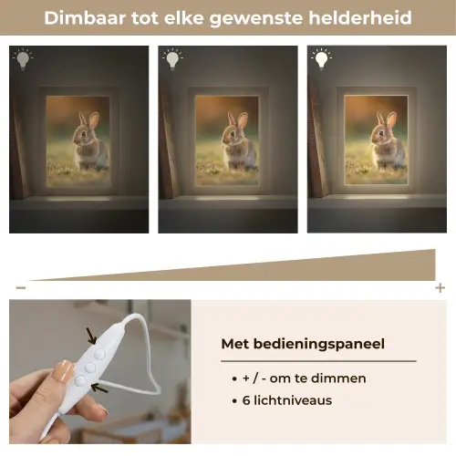 Konijntje - Bruin - Gras Light Box met kabel klein -USP_dimbaarNL