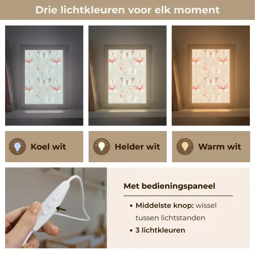 Vlinder - Patroon - Pastel Light Box met kabel klein -USP_lichtkleurNL