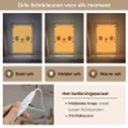 Kat - Simplistisch - Oranje - Vrolijk Light Box met kabel klein -USP_lichtkleurNL
