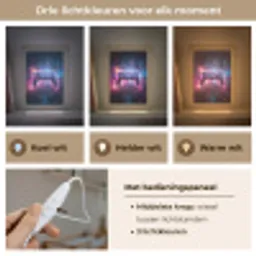 Controller - Neon - Explosie - Abstract Light Box met kabel klein -USP_lichtkleurNL