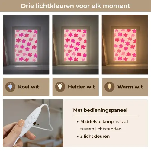 Bloemen - Patroon - Roze Light Box met kabel klein -USP_lichtkleurNL