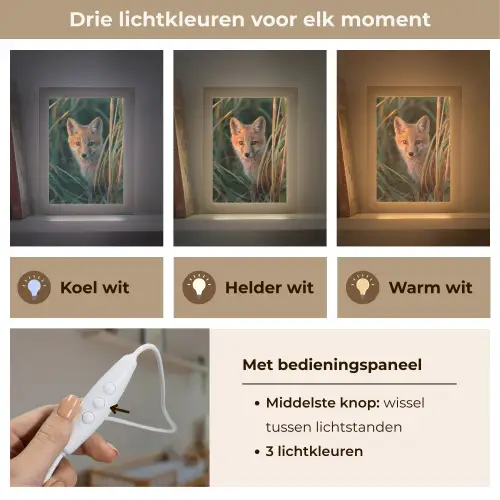 Vos - Oranje - Gras Light Box met kabel klein -USP_lichtkleurNL