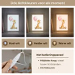 Giraf - Baby - Dieren - Roze ballon Light Box met kabel klein -USP_lichtkleurNL