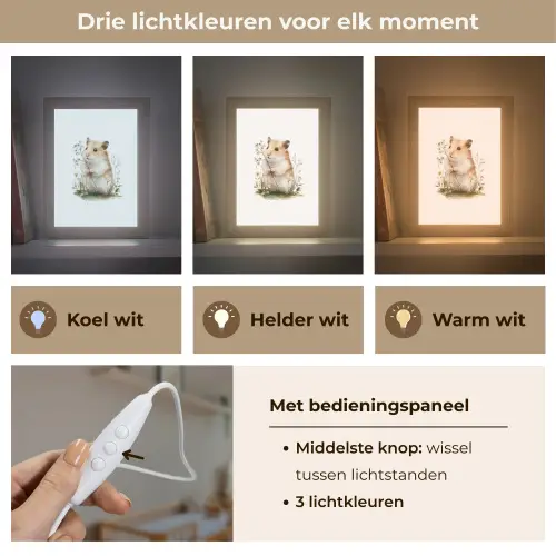 Hamster - Bloemen Light Box met kabel klein -USP_lichtkleurNL