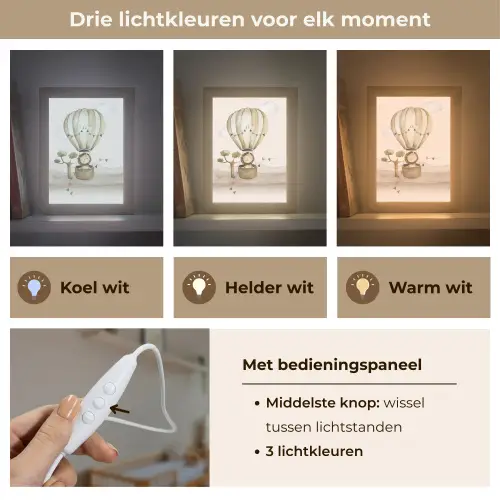 Luchtballon - Leeuw - Watercolor - Safari - Dieren Light Box met kabel klein -USP_lichtkleurNL