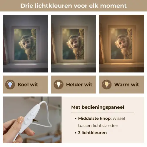 Aap - Boomstronk - Bruin Light Box met kabel klein -USP_lichtkleurNL