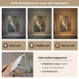 Aap - Boomstronk - Bruin Light Box met kabel klein -USP_lichtkleurNL