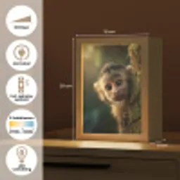 Aap - Boomstronk - Bruin Light Box met kabel klein -USP_NL