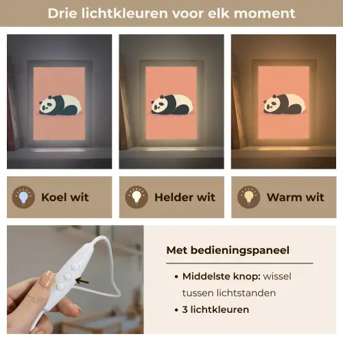 Panda - Slaap - Oranje Light Box met kabel klein -USP_lichtkleurNL