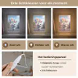 Konijn - Ballonnen - Gekleurd - Confetti Light Box met kabel klein -USP_lichtkleurNL