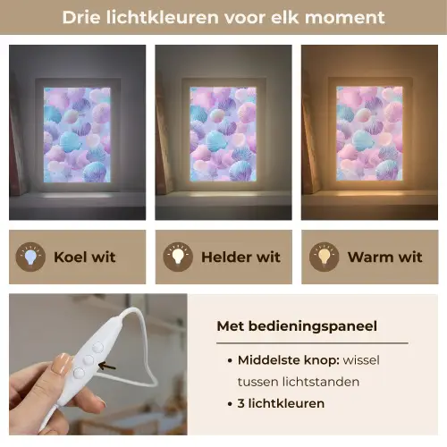 Schelpen - Paars - Blauw - Patroon Light Box met kabel klein -USP_lichtkleurNL