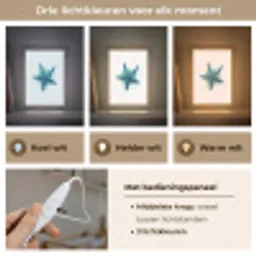 Zeester - Blauw - Spetters Light Box met kabel klein -USP_lichtkleurNL